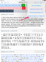 Detect Scriptures in Clipboard.png
